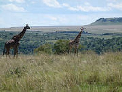 Reserva Natural Masi Mara (Kenia)