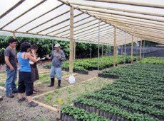 Centro de produccin agraria