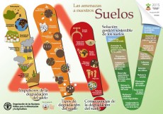 Infografa sobre las amenazas a nuestros suelos