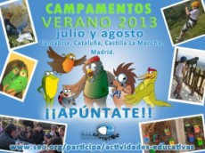 Cartel de los campamentos de verano 2013