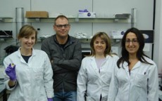 Equipo de investigadores del ICMol