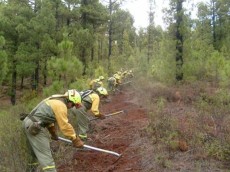 Brigada en labores de mantenimiento