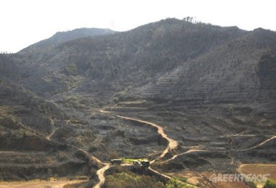 Paisaje tras el pasado incendio de Tenerife