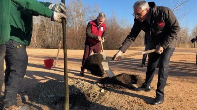 Trabajos de reforestacin