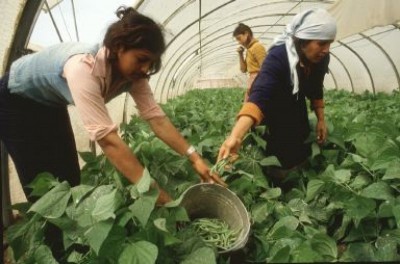 Mujeres rurales