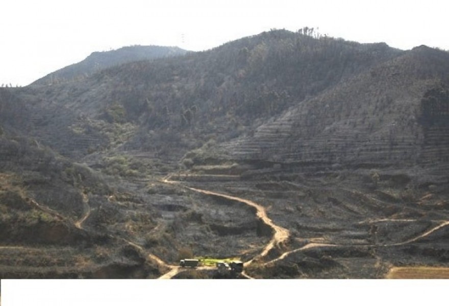 Paisaje devastado por un incendio