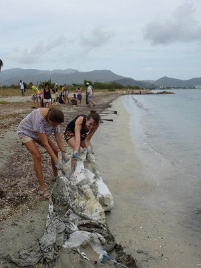 Voluntarios colaborando en la limpieza de playas